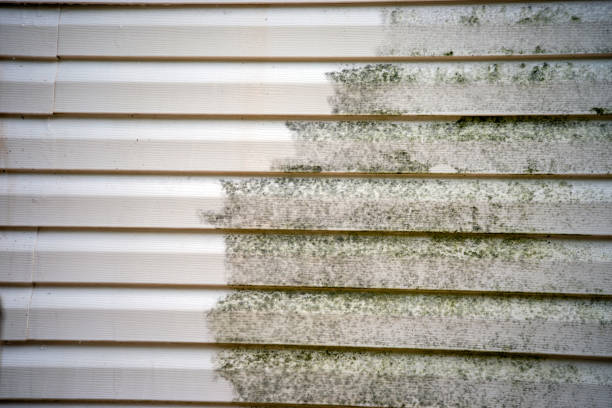 Best Foreclosure Cleanout  in Keno, OR